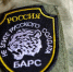 Вячеслав Гладков рассказал о покупке 12 грузовиков для отрядов «Барс-Белгород» и СГУП «Орлан» - Сетевое издание Красное знамя